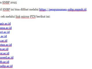 Link pengumuman SNBP
