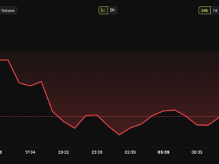 Peluncuran Domain Pi Network Picu Kritik Soal Aksesibilitas